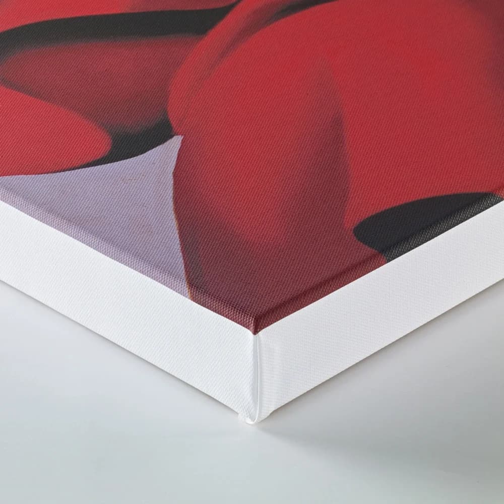 White-edged 38mm stretched canvas detail